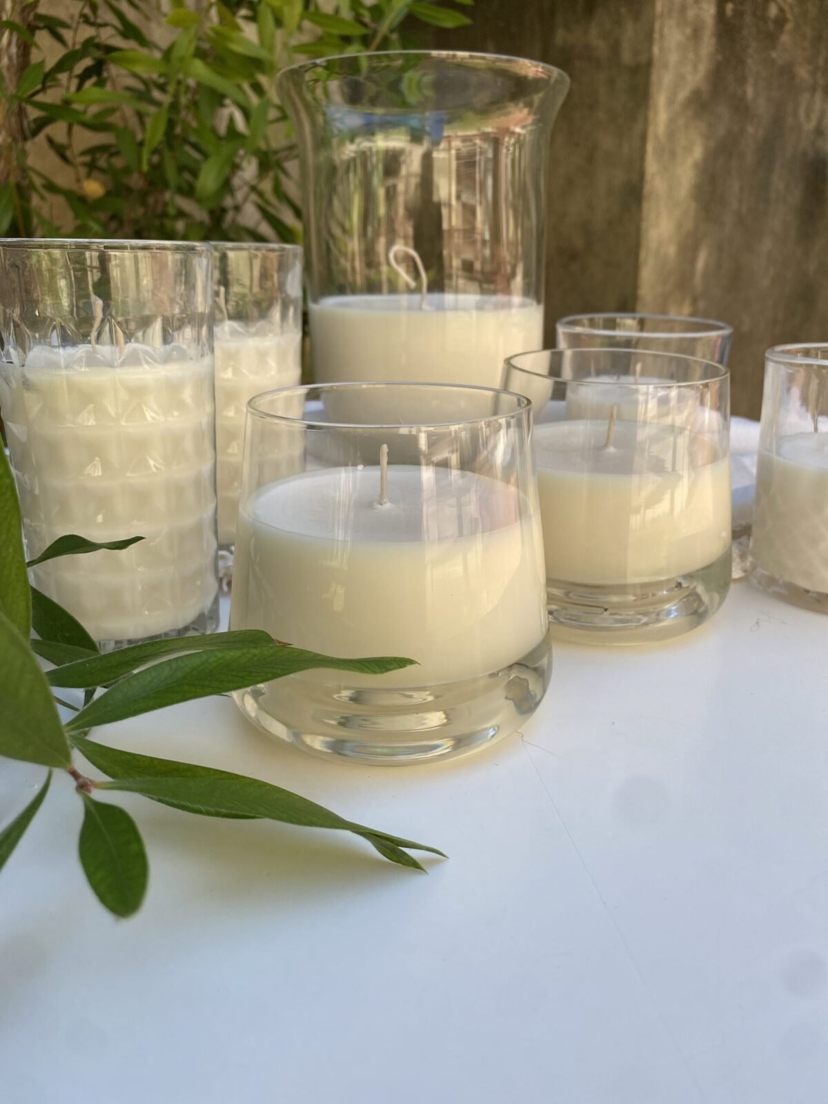 VELA TOSCANA