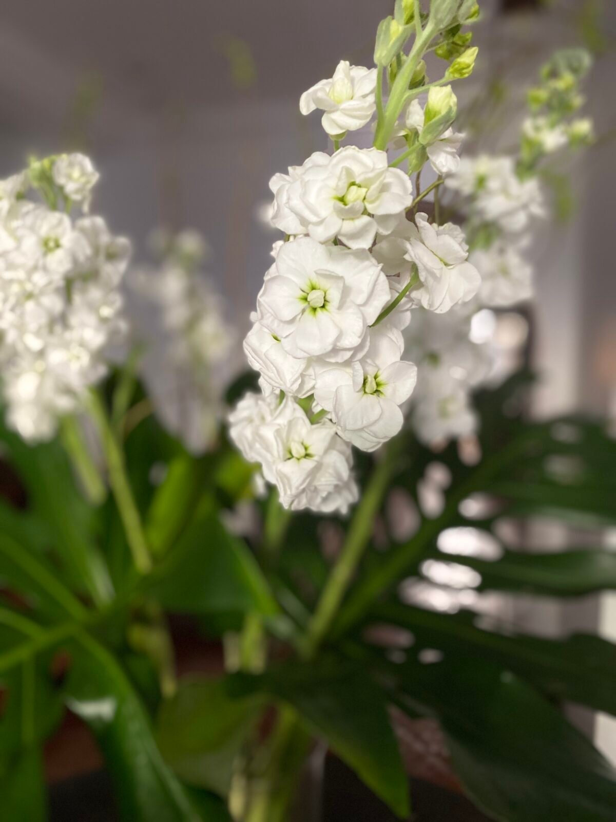Nuevo arreglo floral otoñal - Imagen 3